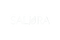 Salura Logo